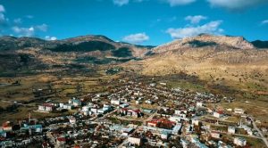 Lice Marka Tescili