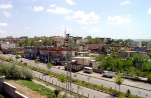 Çınar Marka Tescili