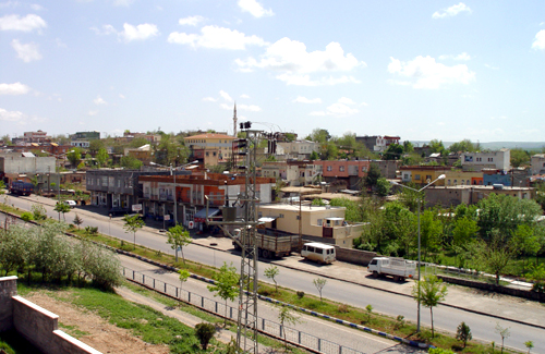 Çınar Marka Tescili